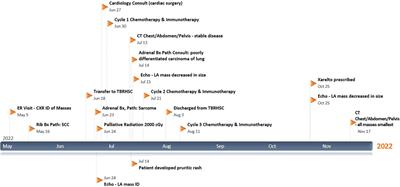 When tissue is not the only issue: Poorly differentiated lung squamous-cell carcinoma with adrenal, costochondral, and cardiac metastases – case report